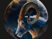 user picture3