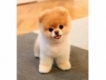 user picture3