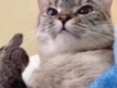 user picture2