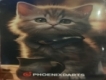 user picture3