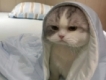 user picture3