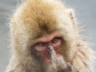 user picture3