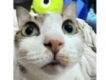 user picture2