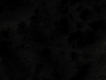 user picture1