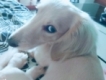 user picture3
