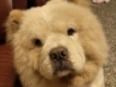 user picture2
