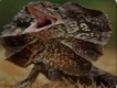 user picture3