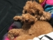user picture1