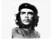 user picture2