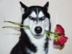 user picture3