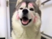 user picture2