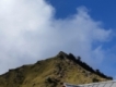 user picture2