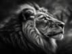 user picture2
