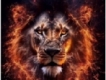 user picture1