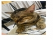 user picture2