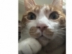 user picture2