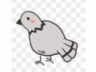 user picture3