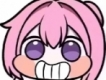 user picture1