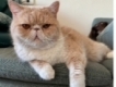 user picture3