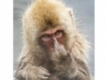 user picture1