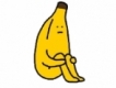 user picture1