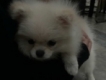 user picture2