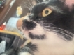 user picture2