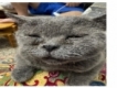 user picture2