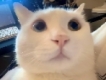 user picture2
