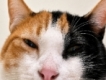 user picture2