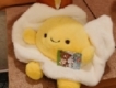 user picture1