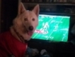 user picture2