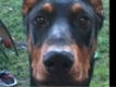 user picture2