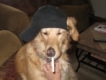 user picture1