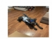 user picture3