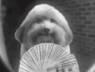 user picture2