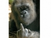 user picture3