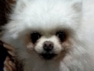 user picture2
