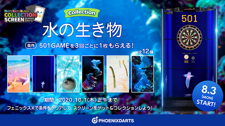 COLLECTION SCREEN
