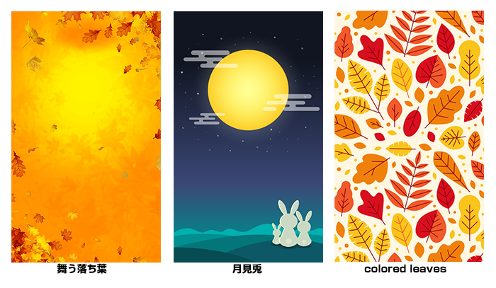 COLLECTION SCREEN
